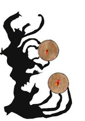 chromosome 18